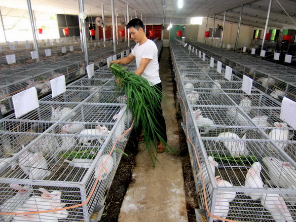 Nghị quyết về Kế hoạch phát triển kinh tế-xã hội 2016-2020 ảnh 1