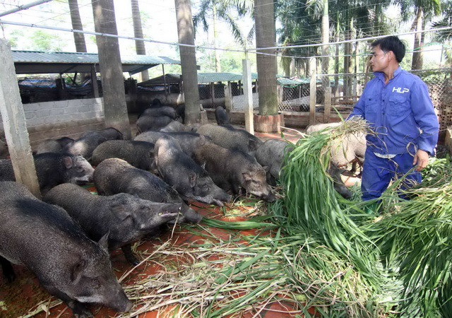 Chất lượng sống ở khu vực nông thôn Hà Nội ngày càng nâng cao ảnh 1