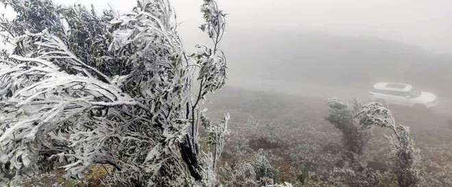 Quảng Ninh: Một số nơi nhiệt độ xuống thấp, xuất hiện băng giá ảnh 1