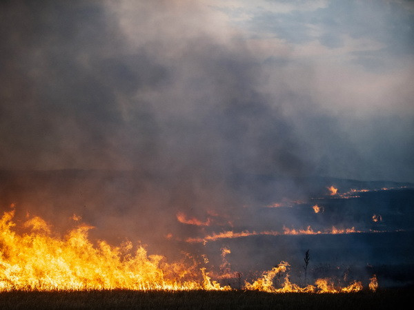 Đoàn xe chở hàng cứu trợ của Nga lên đường sang Ukraine ảnh 1