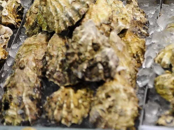 Nga bắt đầu nhập khẩu các lô sản phẩm lương thực từ Iran ảnh 1