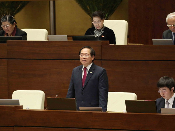 Xây dựng Chính phủ điện tử gắn với cải cách hành chính ảnh 1