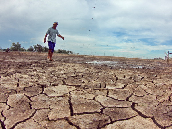 100 tổ chức dân sự tham gia ứng phó biến đổi khí hậu ảnh 1