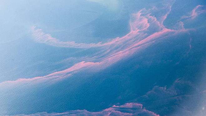 Du khách ngỡ ngàng khi thấy hiện tượng thủy triều đỏ xuất hiện ảnh 3