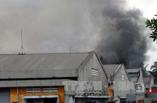 TP.HCM: Đã khống chế được vụ hỏa hoạn tại Khu chế xuất Tân Thuận ảnh 1