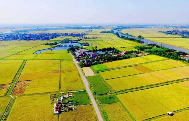 Dự thảo Luật Đất đai sửa đổi: Tích tụ, tập trung đất đai ảnh 2