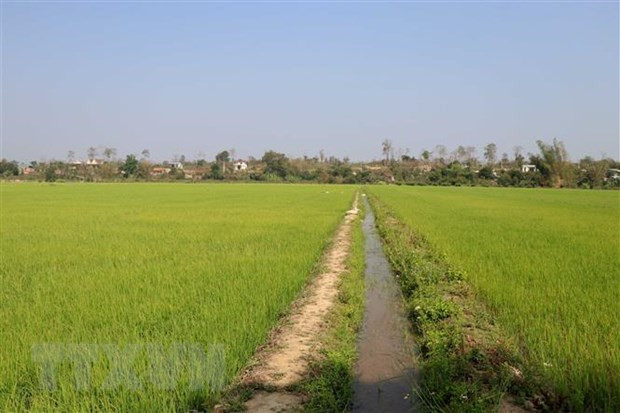 Dự thảo Luật Đất đai sửa đổi: Tích tụ, tập trung đất đai ảnh 1