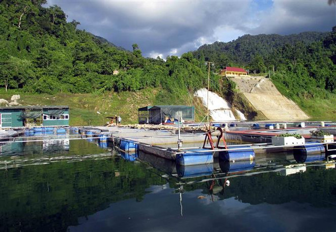 Mô hình nuôi cá lồng trên hồ thủy điện Na Hang. (Ảnh: Vũ Quang/TTXVN) Tuyên Quang trở thành điểm đến hấp dẫn của các nhà đầu tư ảnh 1