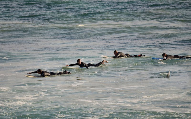 Rùng mình cảnh cá ​mập bơi lởn vởn quanh 4 người lướt sóng ảnh 1