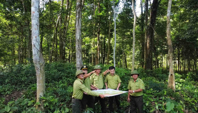 Tập trung nguồn lực, đẩy nhanh tiến độ xây dựng cơ sở dữ liệu đất đai ảnh 2