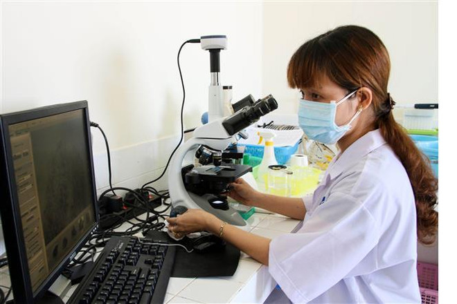 Ninh Thuận xây dựng trung tâm sản xuất tôm giống chất lượng cao ảnh 1