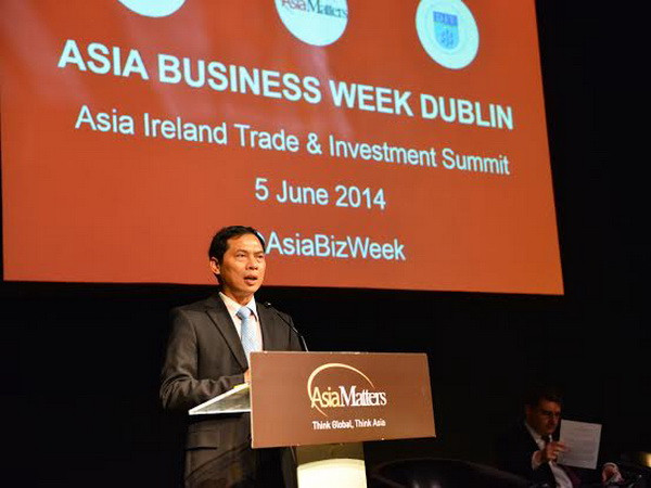 Thứ trưởng Ngoại giao Bùi Thanh Sơn làm việc tại CH Ireland ảnh 1