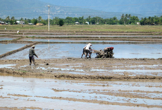 Chủ động điều tiết nguồn nước cho phát điện, sản xuất nông nghiệp ảnh 1
