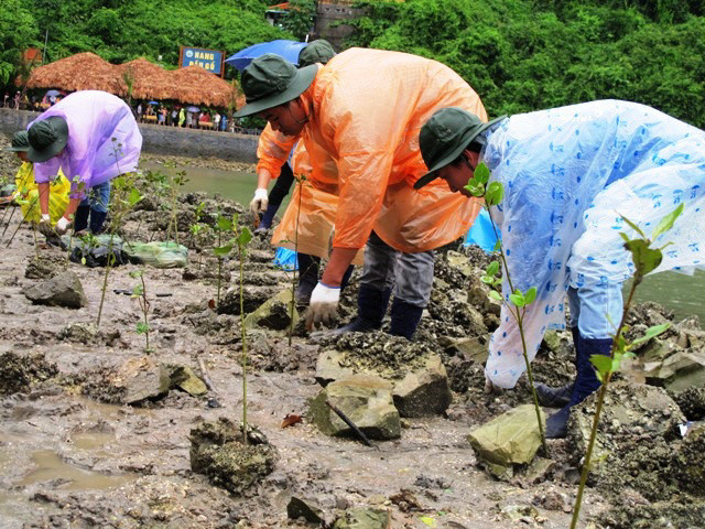 Việt Nam và Cuba thúc đẩy hợp tác nhằm chống biến đổi khí hậu ảnh 1