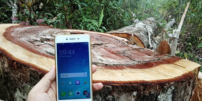 Khắc xuất, khắc nhập kiểm lâm: Các ban quản lý rừng lo bị ‘chặt tay' ảnh 1