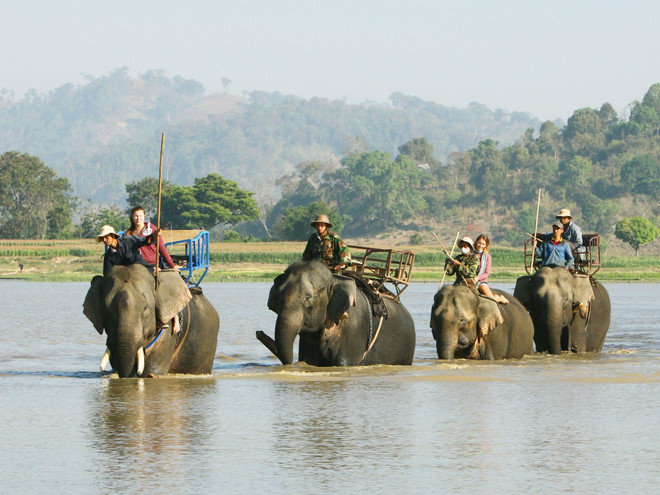 Cảnh báo thủy điện Đrăng Phôk gây hại Vườn quốc gia Yok Đôn ảnh 1