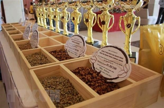 Các mẫu càphê đạt tiêu chuẩn càphê đặc sản Việt Nam. (Ảnh: Phạm Cường/TTXVN) Hiệp định EVFTA: Sắp xuất khẩu nhiều nông sản sang thị trường EU ảnh 2