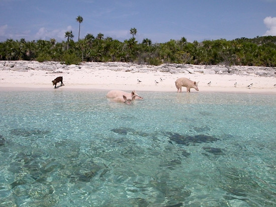 Danh sách những hòn đảo đáng kinh ngạc nhất trên thế giới ảnh 7