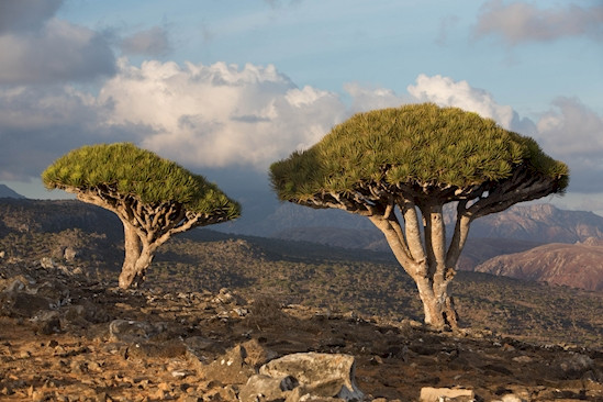 Danh sách những hòn đảo đáng kinh ngạc nhất trên thế giới ảnh 5