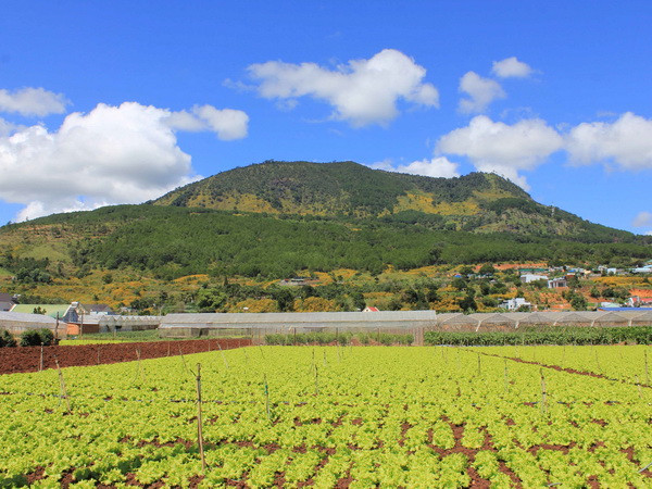 Bắc Bộ giảm mưa, trưa hửng nắng, sáng sớm và đêm se lạnh ảnh 1