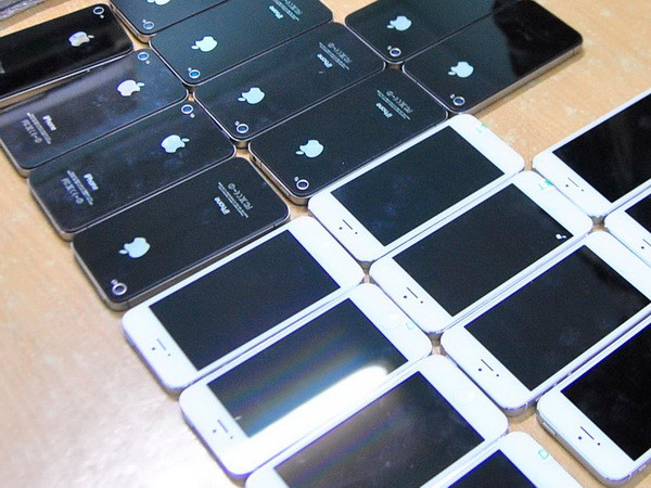 Bình Dương: Phát hiện đường dây tiêu thụ điện thoại iPhone "giá bèo" ảnh 1