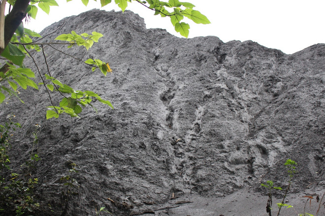 Công bố các đợt thanh tra và xử phạt về tài nguyên môi trường năm 2015 ảnh 3