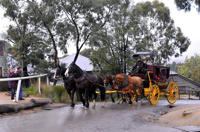 [Photo] Du khách tự tay đào vàng và cảm nhận sự nguy hiểm ảnh 4