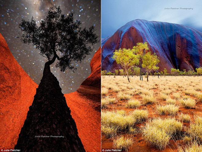 Cận cảnh những bức ảnh thiên nhiên hoang dã tuyệt đẹp ảnh 3