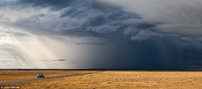 Cận cảnh những bức ảnh thiên nhiên hoang dã tuyệt đẹp ảnh 11