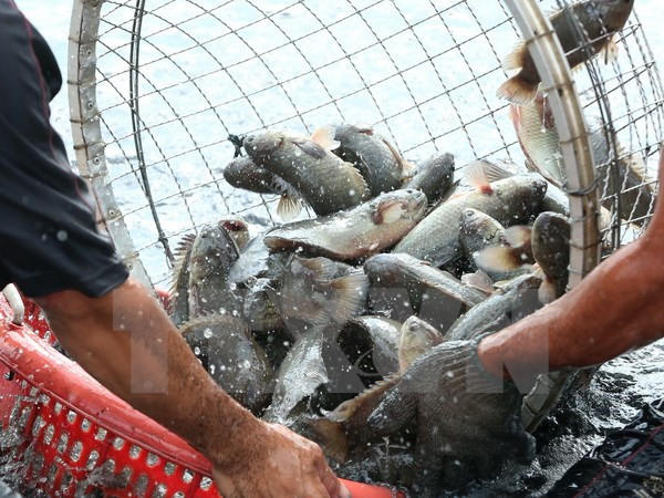 Thủ tướng ban hành quyết định thành lập Khu Kinh tế Thái Bình ảnh 1