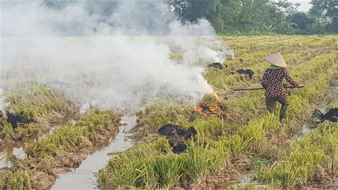 Tăng trách nhiệm trong ngăn chặn đốt rơm rạ tại khu vực sân bay ảnh 1