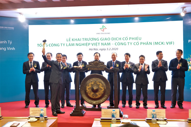 Tổng công ty Lâm nghiệp VN niêm yết 350 triệu cổ phiếu trên HNX ảnh 1