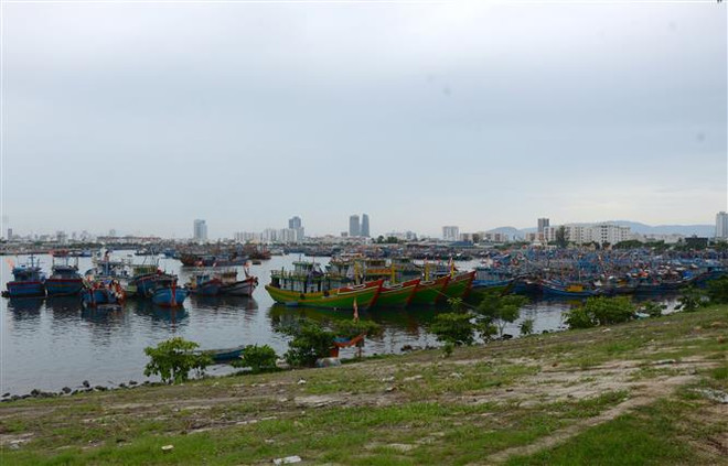 (Ảnh minh họa: Quốc Dũng/TTXVN) Cần đảm bảo an toàn tàu thuyền trên biển trong siêu bão Rai ảnh 1