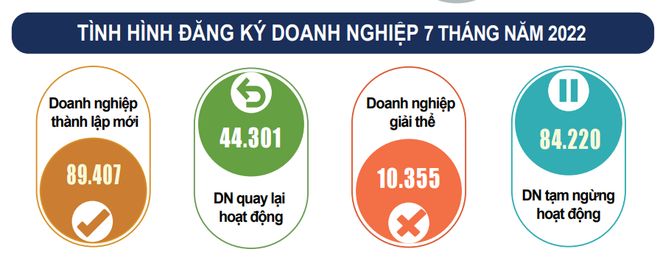 Gần 134 nghìn doanh nghiệp gia nhập thị trường trong bảy tháng đầu năm ảnh 2