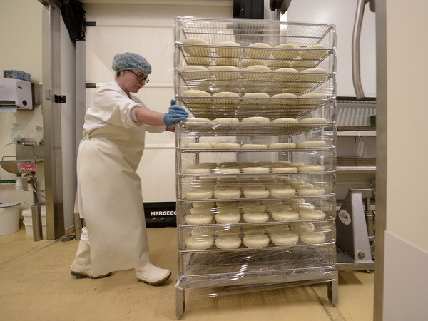 OECD tìm cách đẩy mạnh sự phát triển của doanh nghiệp vừa và nhỏ ảnh 1