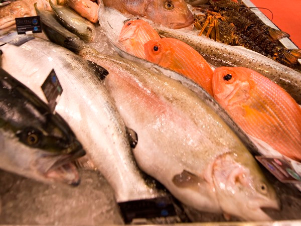 EP bắt buộc ghi nguồn gốc các loại cá tiêu thụ trên thị trường ảnh 1