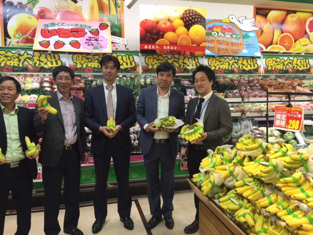 Chuối Việt Nam chinh phục ngoạn mục thị trường Nhật Bản ảnh 1