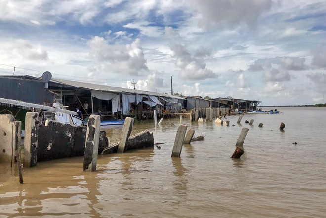 Giải pháp nào cho phòng chống sạt lở bờ sông, bờ biển ở Cà Mau? ảnh 1