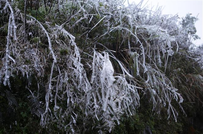 Vùng núi cao tiếp tục xuất hiện băng giá và sương muối ảnh 1