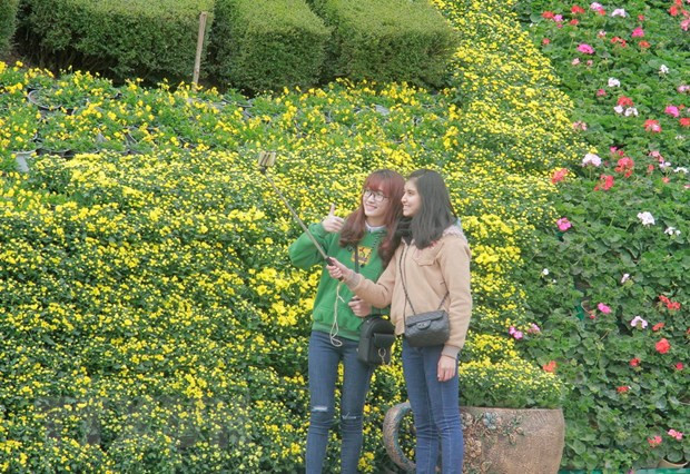 Lâm Đồng tổ chức Festival Hoa Đà Lạt và nhiều sự kiện phục hồi du lịch ảnh 1