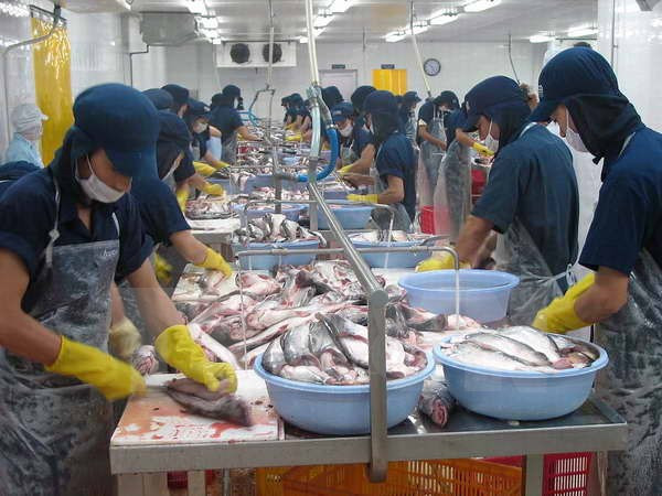 Nghị viện châu Âu quan tâm thúc đẩy FTA với Việt Nam ảnh 1