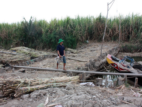 Phiên họp lần thứ 43 Ủy ban Liên hợp Ủy hội sông Mekong quốc tế ảnh 1