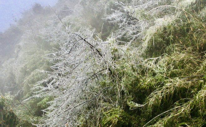 Hình ảnh băng giá phủ trắng đường lên đỉnh Fansiapan ảnh 4