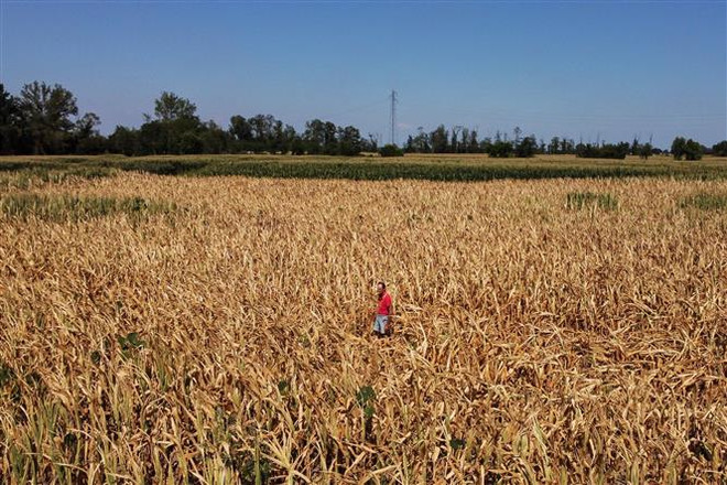 WMO: Thế giới vừa trải qua một trong số những tháng 7 nóng kỷ lục ảnh 1