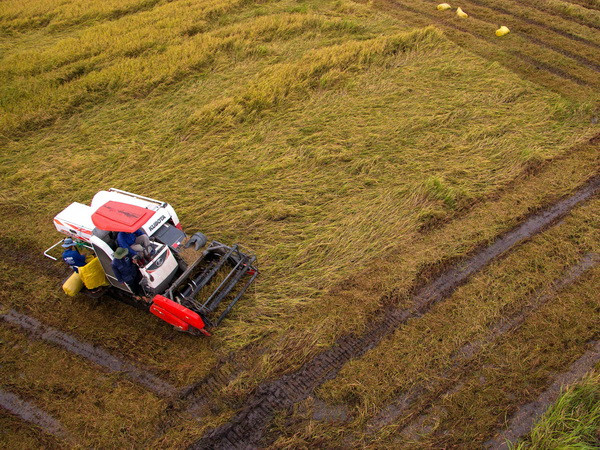 Hạn hán de dọa hơn 12.000ha lúa vụ Hè Thu thiếu nước ảnh 1