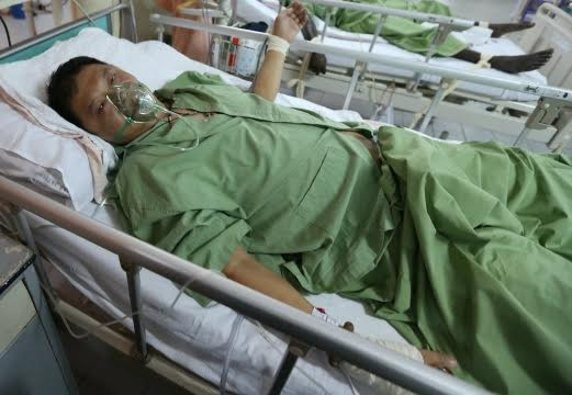 Voi rừng nổi điên, giẫm gẫy xương sườn hai người đi vệ sinh ảnh 1