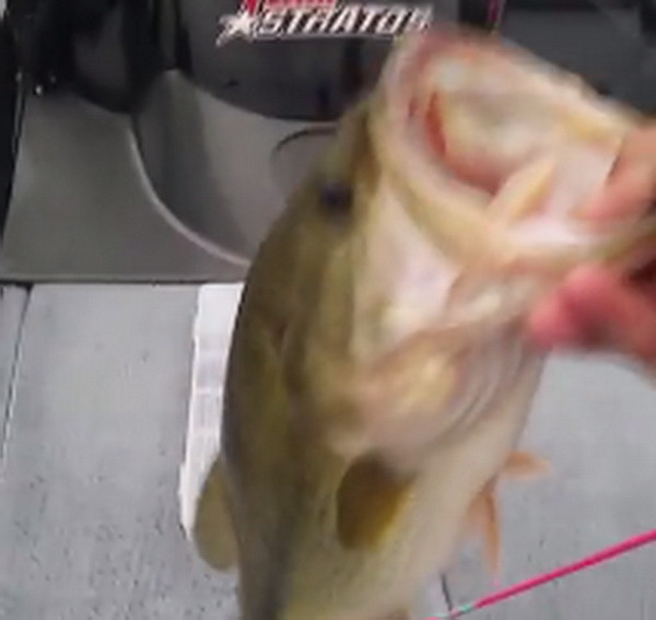 [Video] Bé gái bất ngờ câu được con cá lớn bằng cần đồ chơi ảnh 1