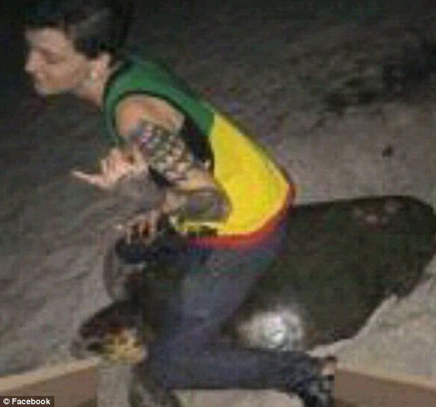 Cô gái có nguy cơ phải ngồi tù 5 năm vì ngược đãi rùa biển ảnh 1