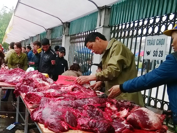 Thịt trâu chọi Phúc Thọ giá “cắt cổ” gấp 3 lần bò Úc ảnh 1