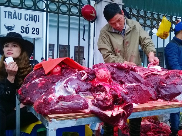 Thịt trâu chọi Phúc Thọ giá “cắt cổ” gấp 3 lần bò Úc ảnh 4